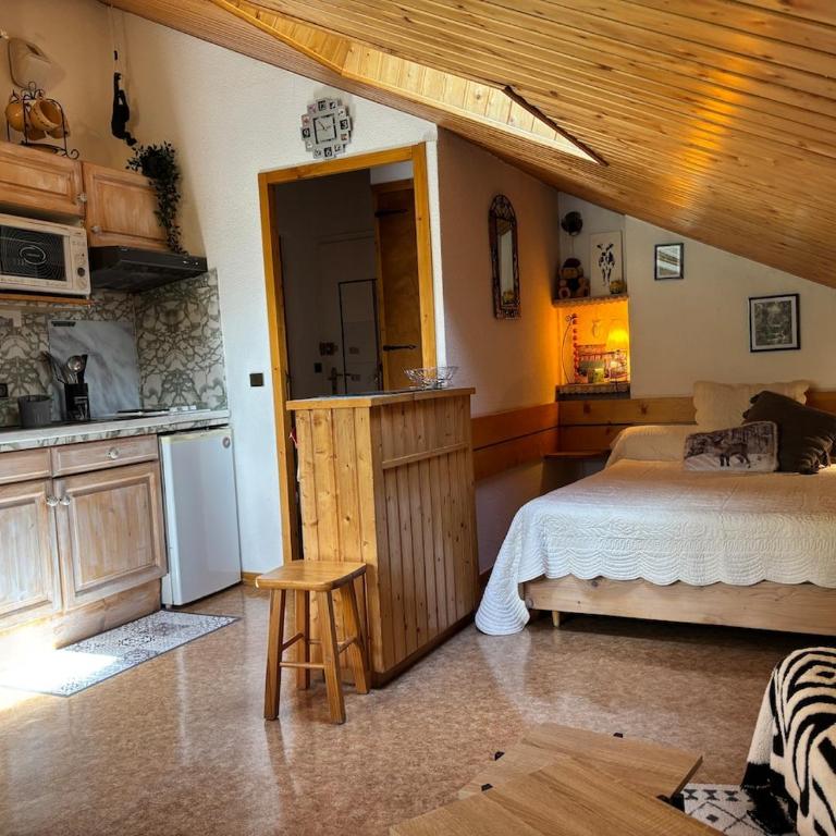 charmant studio - One-Bedroom Apartment - 7