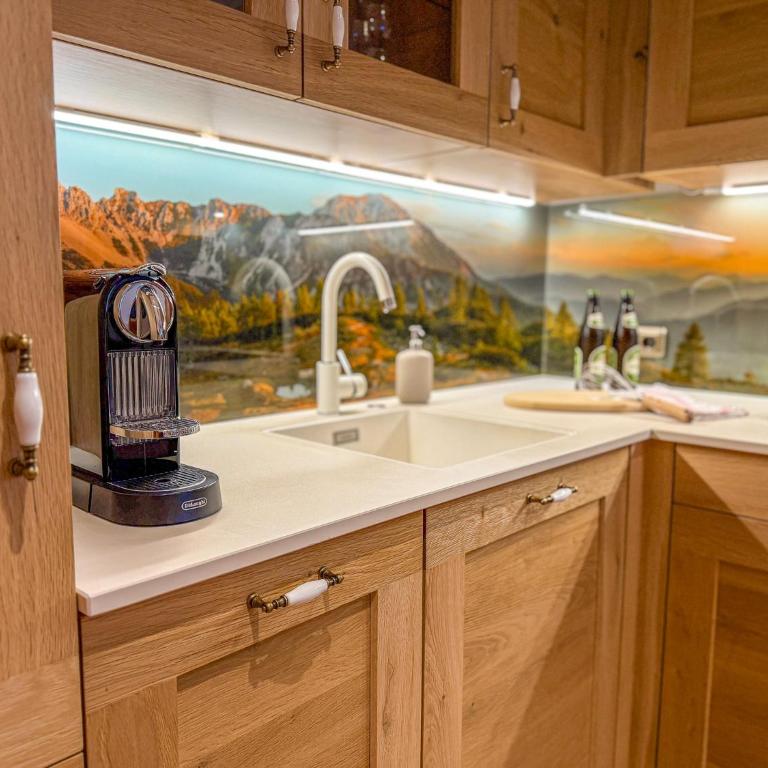 Appartements Haus am Dachstein - One-Bedroom Apartment - 11