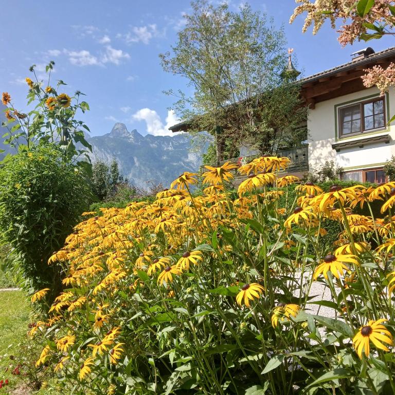 Landhaus Hirterhütte - Two-Bedroom Apartment - 14