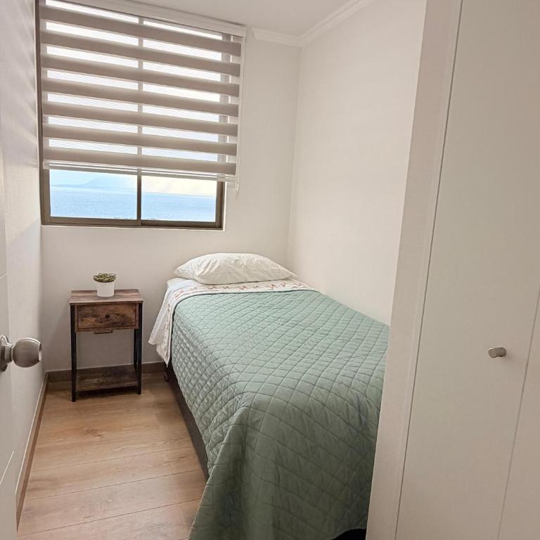 Depa Velas Norte - Apartamento de 2 dormitorios - 12