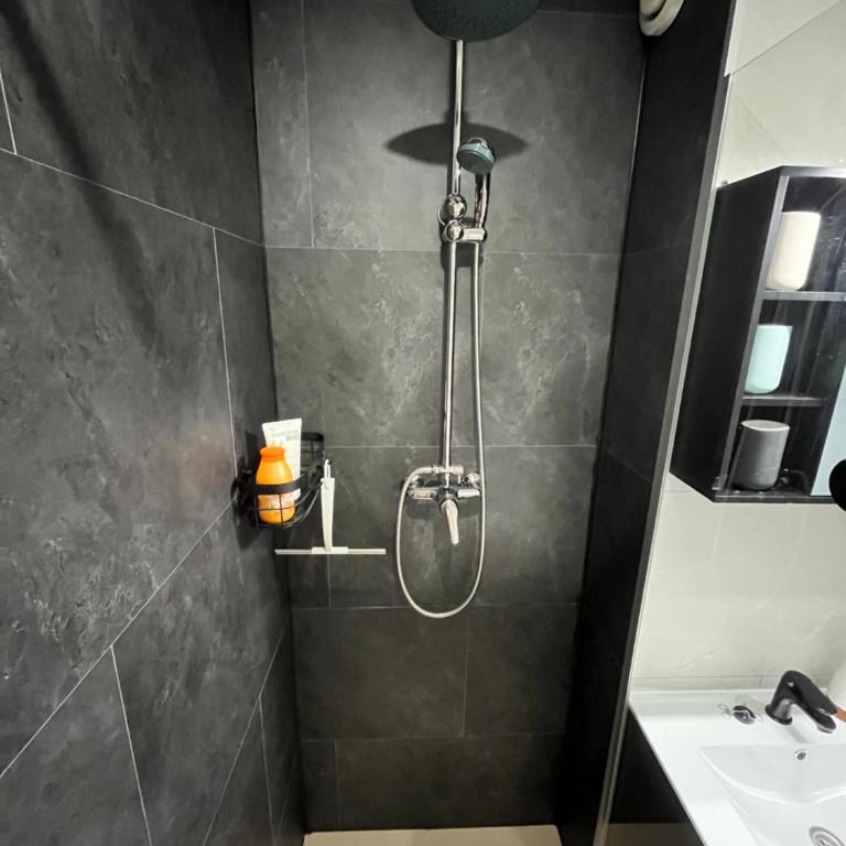 La Folie du Caribou - Appartement 1 Chambre - 11