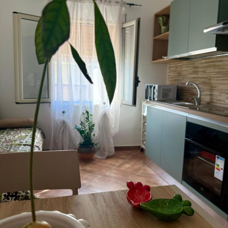 Slow Clay Home - One-Bedroom Apartment - 1