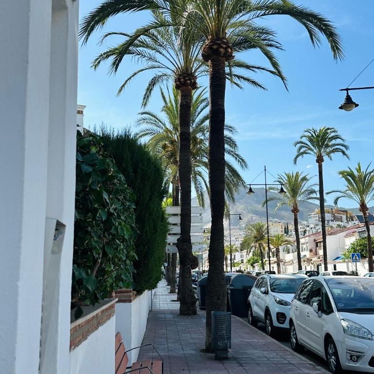 Beachside Penthouse Apartment, TIMON II, Palm Tree Avenue - Casa con 2 Camere da Letto - 47