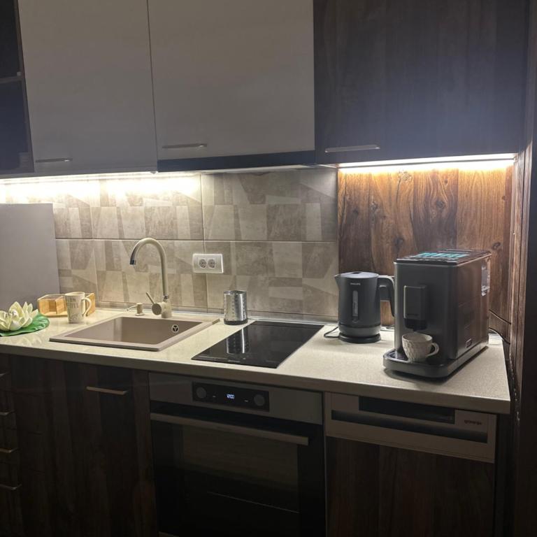 Crown TiM Villa - Apartman sa 2 Spavaće Sobe - 10