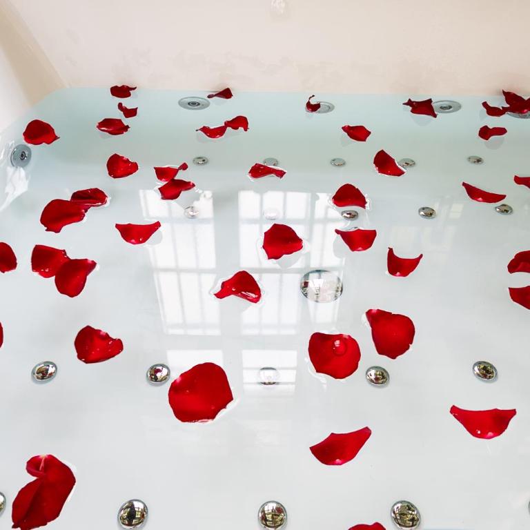 Duplex with Jacuzzi l 15 min from Montmartre - Appartement 2 Chambres Deluxe - 49