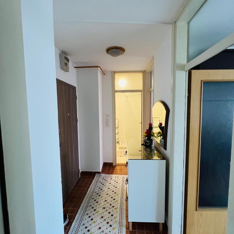 Sarajevo apartman Eman Ilidza - Apartman sa 1 Spavaćom Sobom - 7