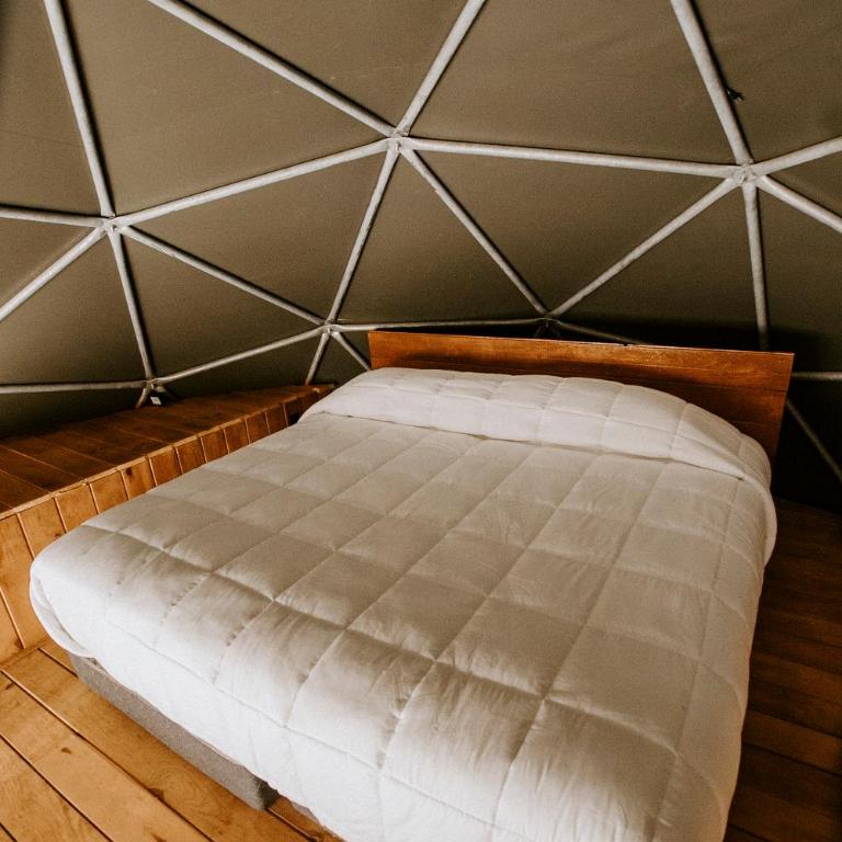 Lumbai Glamping Mazamitla - Superior Familienzimmer - 13