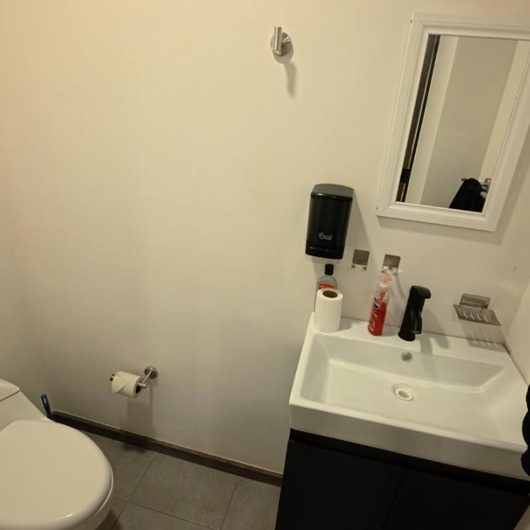 Tu Alojamiento en el Corazón de Puebla - Apartamento de 3 dormitorios - 7