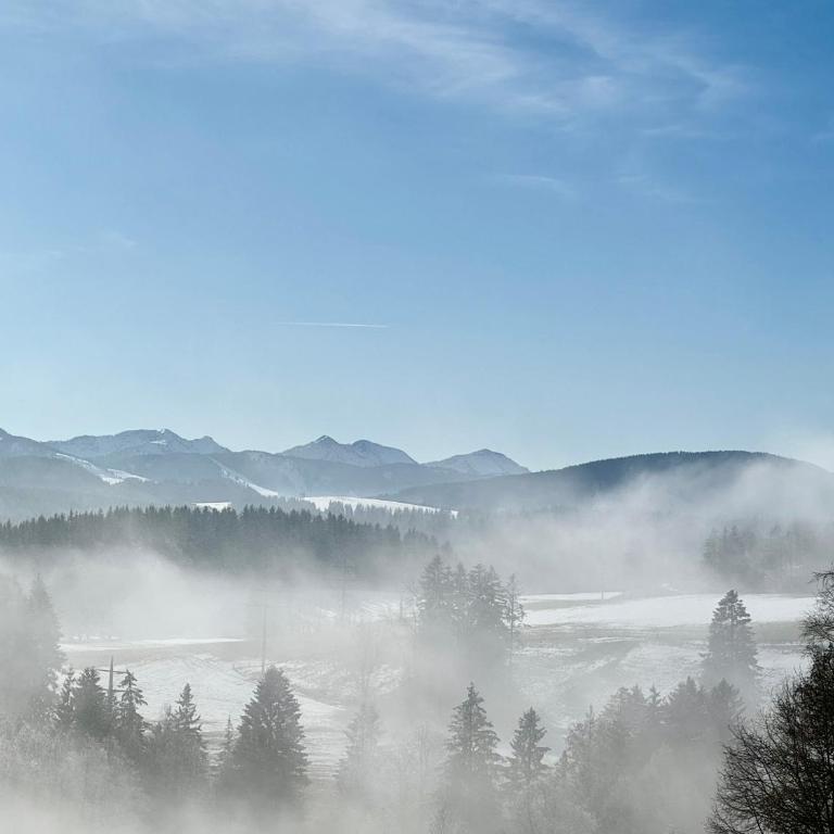 LuxLife - Panorama Bergblick, Sauna, Balkon, Luxus Pur - Apartment mit 2 Schlafzimmern - 65