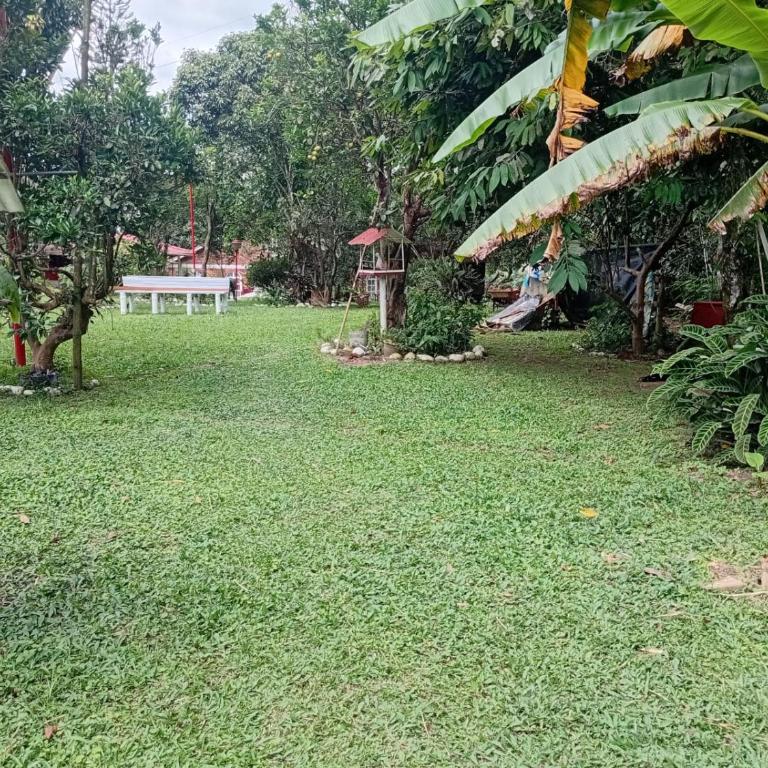 Touristic House Chalet Luna Verde - Chalet - 80