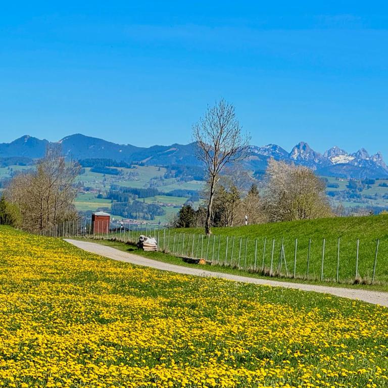 LuxLife - Panorama Bergblick, Sauna, Balkon, Luxus Pur - Apartment mit 2 Schlafzimmern - 68