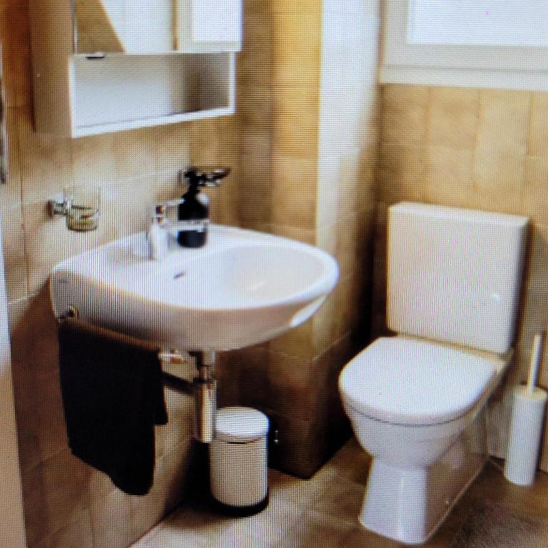 Newly renovated and charming property in Flachau - Appartement 1 Chambre - 2