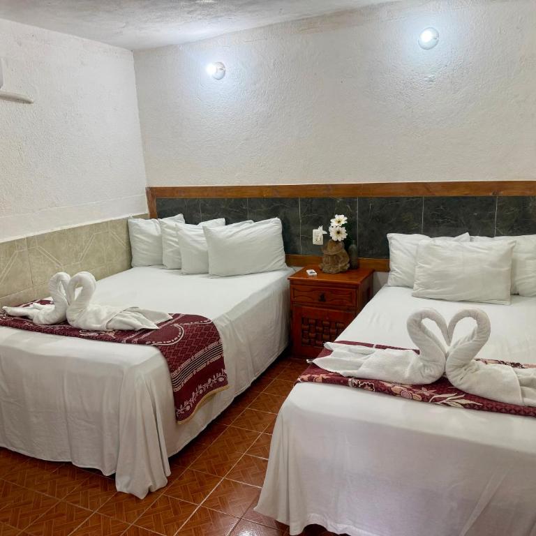 Hotel PLAYA ZAMA' - Standard Studio für 3 Personen - 1