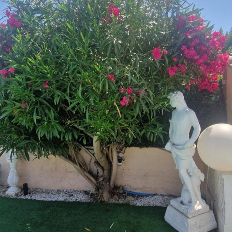 VILLA Soleil et Douceur - Villa with Private Pool - 5