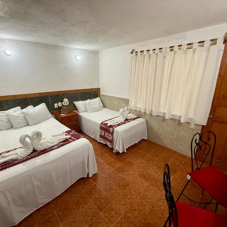 Hotel PLAYA ZAMA' - Standard Studio für 3 Personen - 13