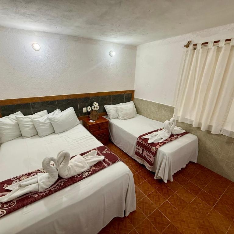 Hotel PLAYA ZAMA' - Standard Studio für 3 Personen - 16