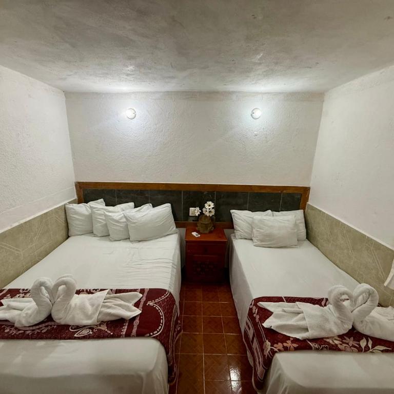 Hotel PLAYA ZAMA' - Standard Studio für 3 Personen - 20