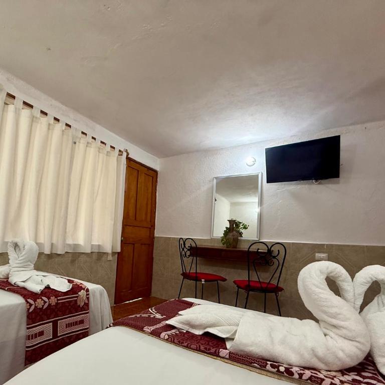 Hotel PLAYA ZAMA' - Standard Studio für 3 Personen - 21