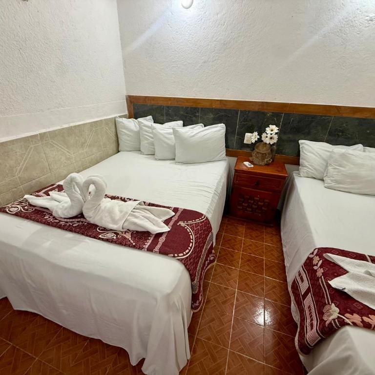 Hotel PLAYA ZAMA' - Standard Studio für 3 Personen - 26