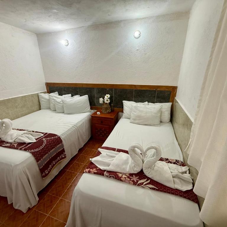 Hotel PLAYA ZAMA' - Standard Studio für 3 Personen - 27