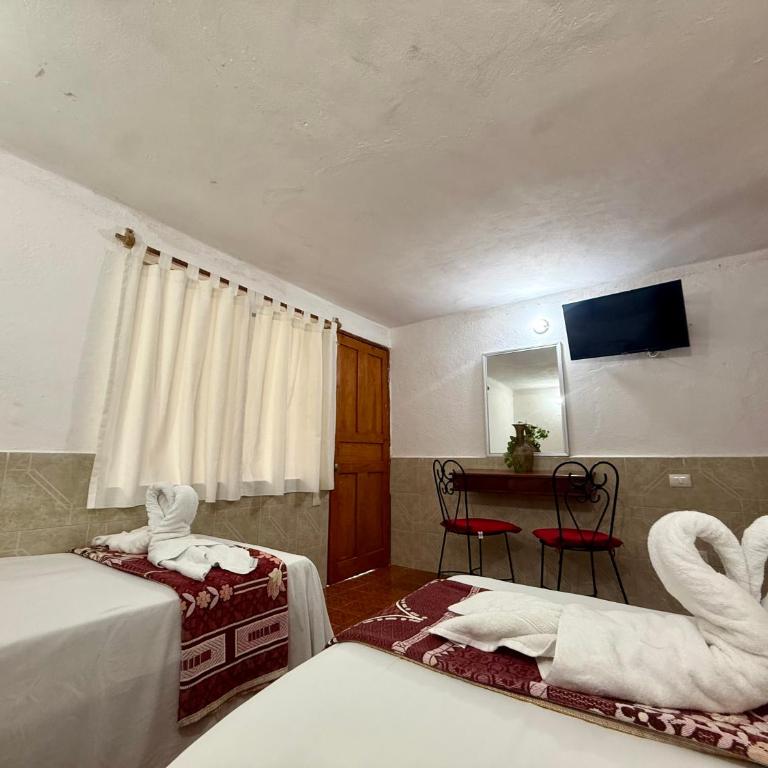 Hotel PLAYA ZAMA' - Standard Studio für 3 Personen - 31