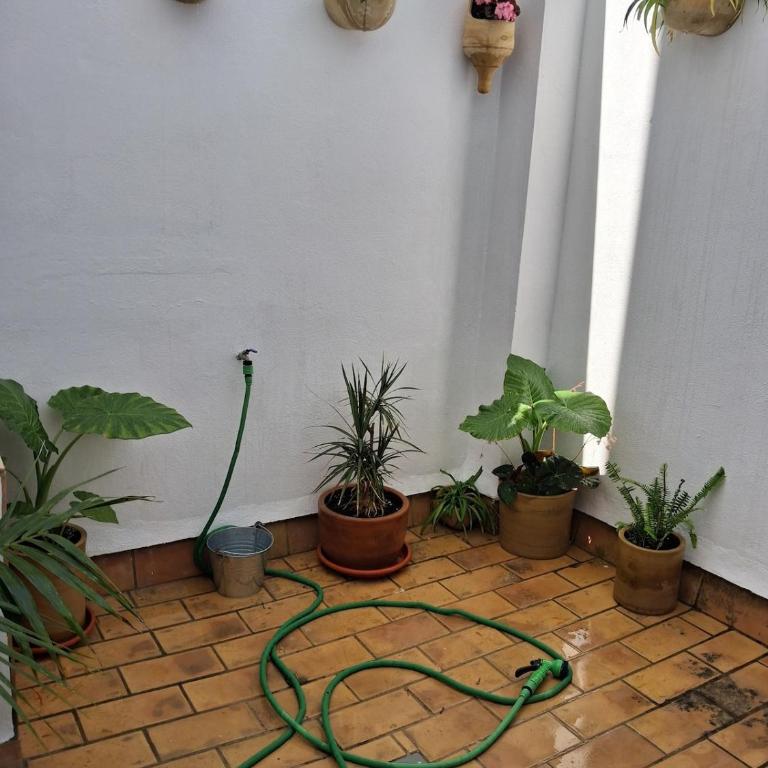 Casa salá - Three-Bedroom Apartment - 9