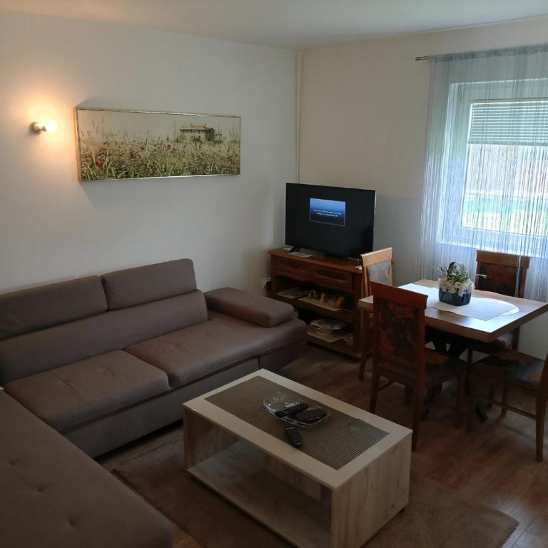 Guest House Višnja - Apartman sa 1 Spavaćom Sobom - 18