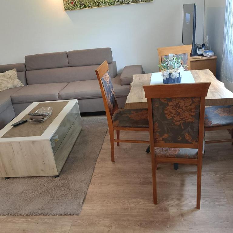 Guest House Višnja - Apartman sa 1 Spavaćom Sobom - 19