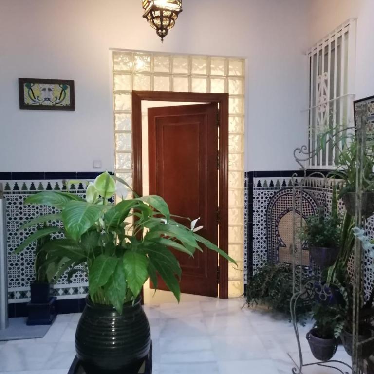 Apartamento centro Cádiz - Apartamento de 1 dormitorio - 1