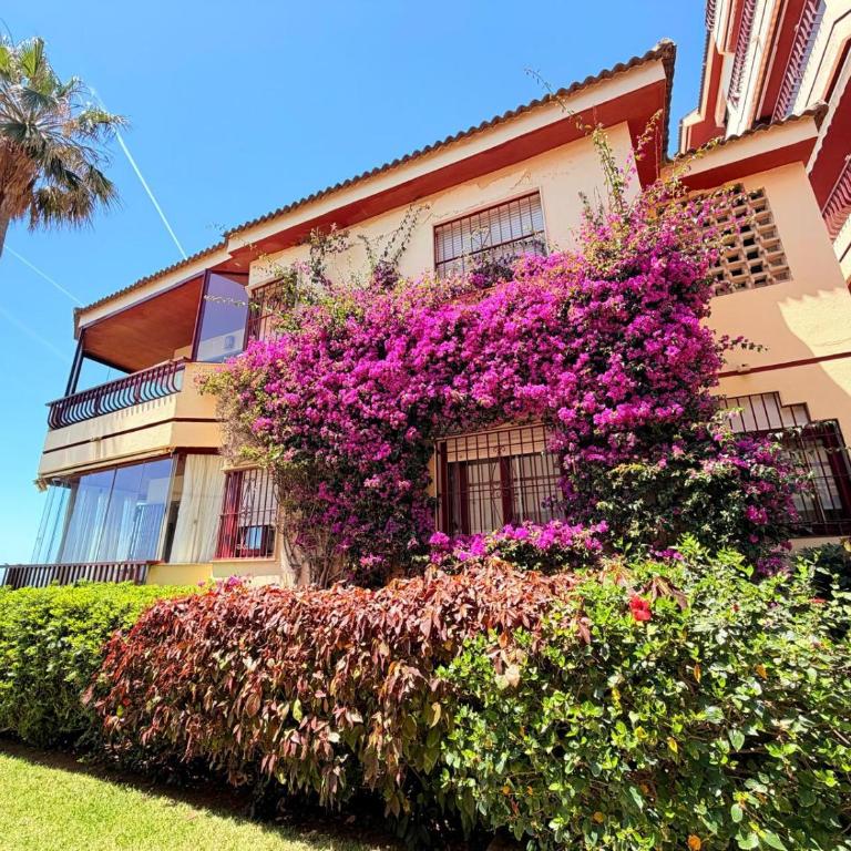 Sea Front View with Pool Paddle and Tennis Mijas - Apartamento de 1 dormitorio - 23
