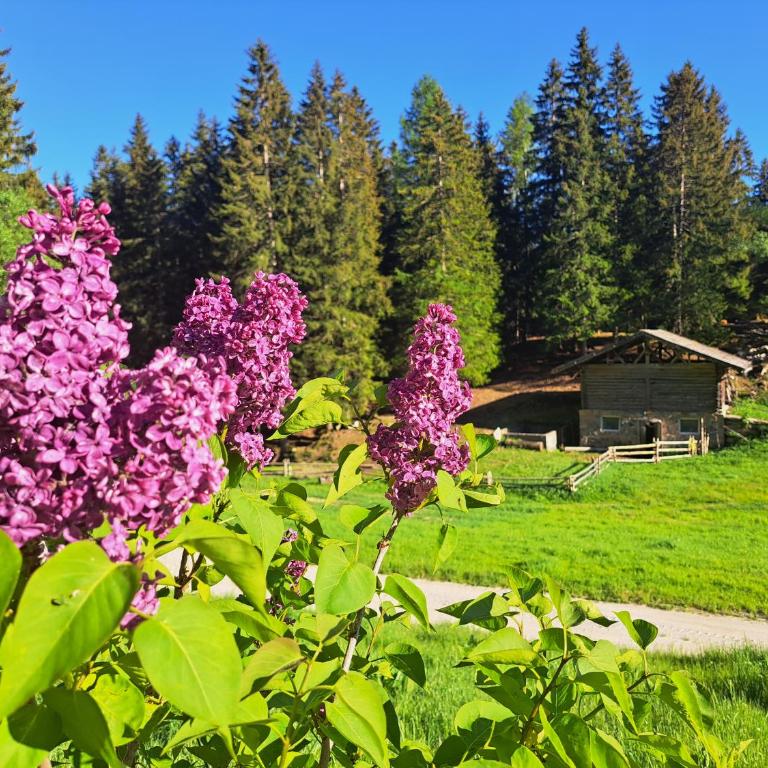 Ferienhaus Morx Puite - Casa de 4 dormitorios - 25