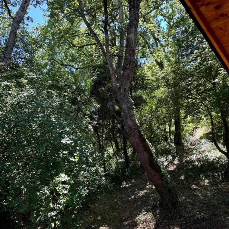 BetosGarden - Brvnara sa 1 Spavaćom Sobom - 11