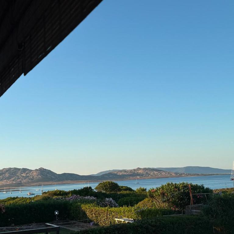Stintino Cala Rosa con Vista Mare - Polipo - Casa con 1 Camera da Letto - 4