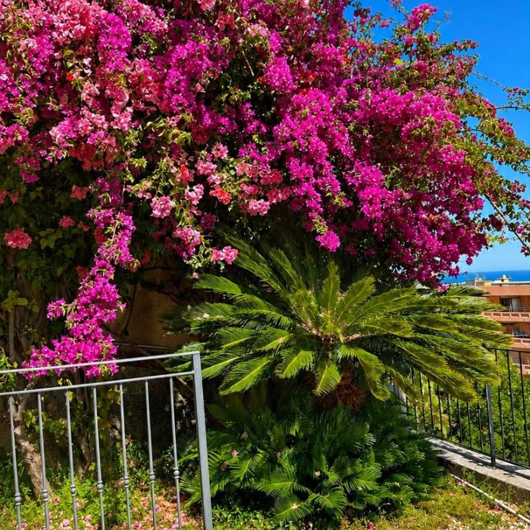 Sea View & Monaco Panorama , Large Terrace, Air Conditioning - Appartement 1 Chambre - 15