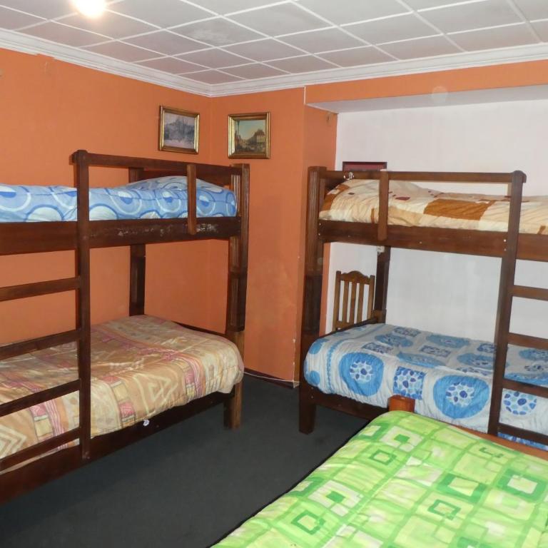 Greenhouse Bolivia - Bed in 6-Bed Mixed Dormitory Room - 1