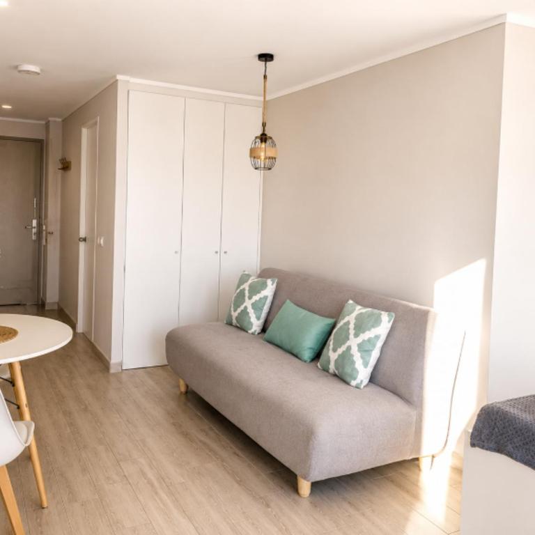 Studio Frente al Parque Ohiggins y Movistar Arena - One-Bedroom Apartment - 6