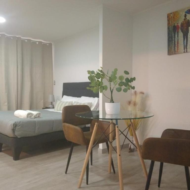 Movistar Arena I Studio I Parque Ohiggins - One-Bedroom Apartment - 1