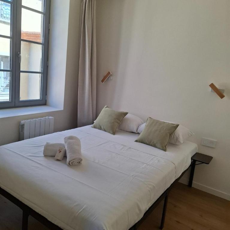 T2 rénové - Vue Château La Bâtie - Centre Vienne - Apartment mit 1 Schlafzimmer - 10