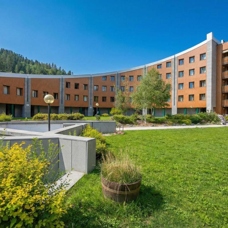 La Marmotta Ski in/ski out - Studio with Terrace - Happy Rentals - Estudio con terraza - 9
