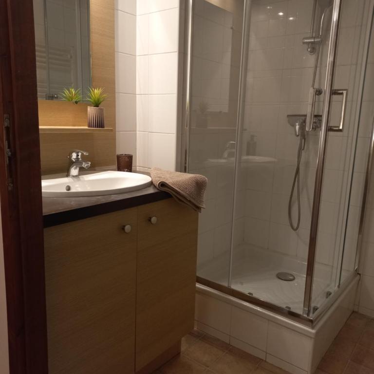 Artemis 402 2 chambres et coin montagne - Appartement 2 Chambres - 2