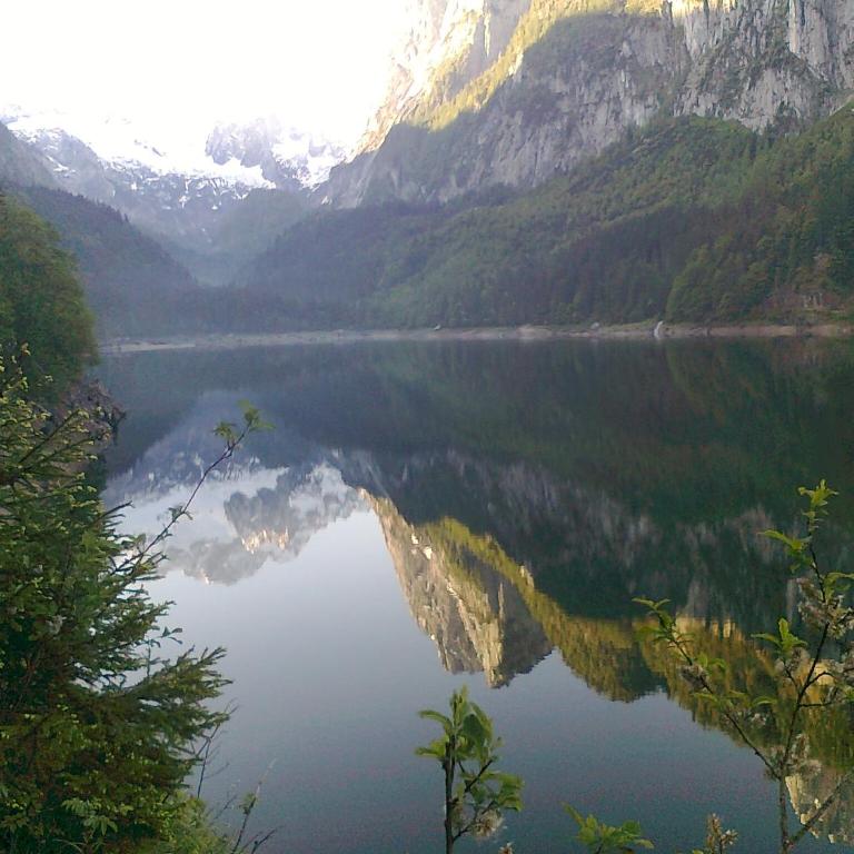 Privatpension Gosaukammblick - Doppelzimmer - 16