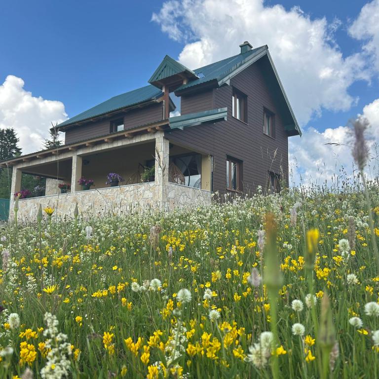 Vila Zelena dolina Green Valley - Villa 2 Chambres - 14