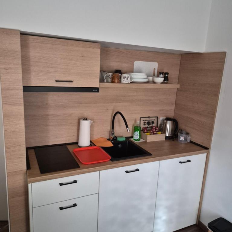 Stari Grad - Apartment mit 2 Schlafzimmern - 1
