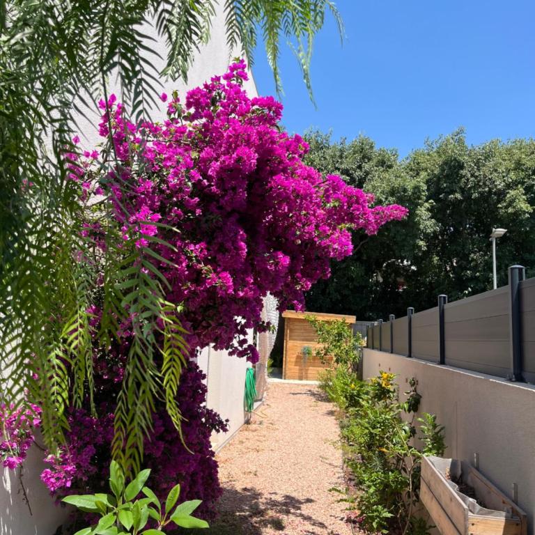 Villa Indigo avec jardins Méditerranéens - Villa - 3