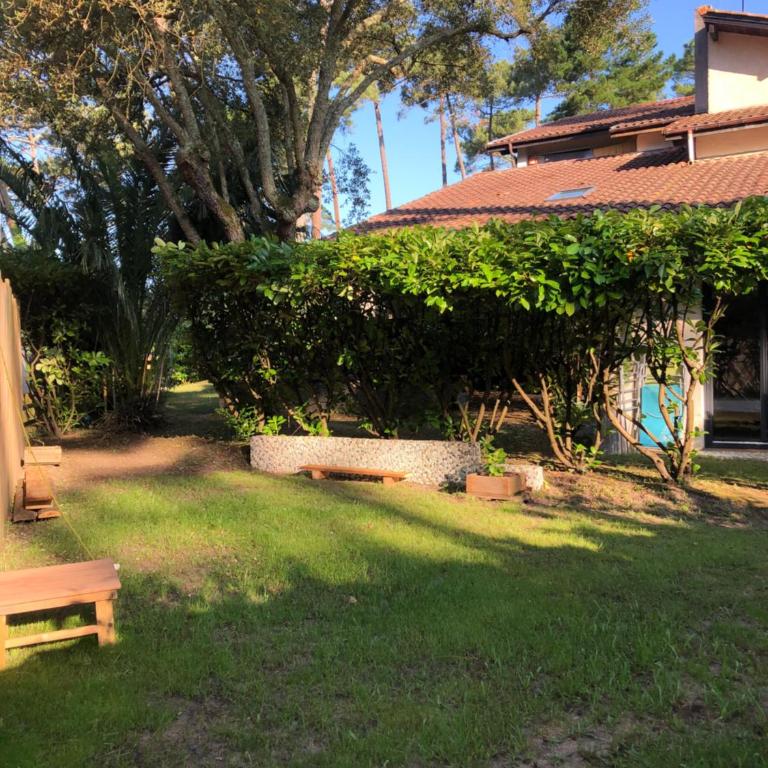 Maison Sous Les Pins - Casa de 3 dormitorios - 21