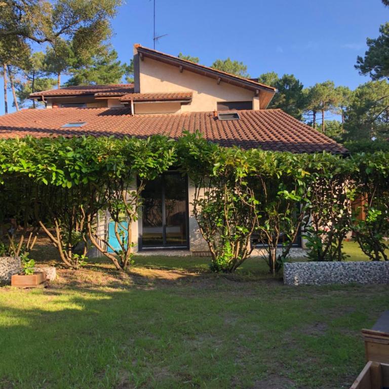 Maison Sous Les Pins - Casa de 3 dormitorios - 22