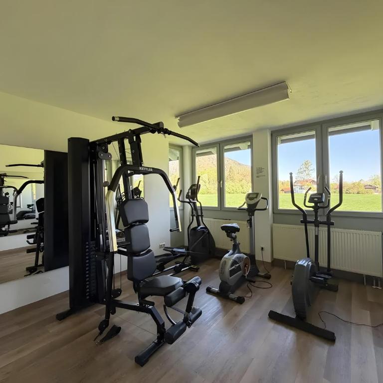 Fewo Alpenpanorama mit Hallenbad - Superior Apartment mit Sauna - 22
