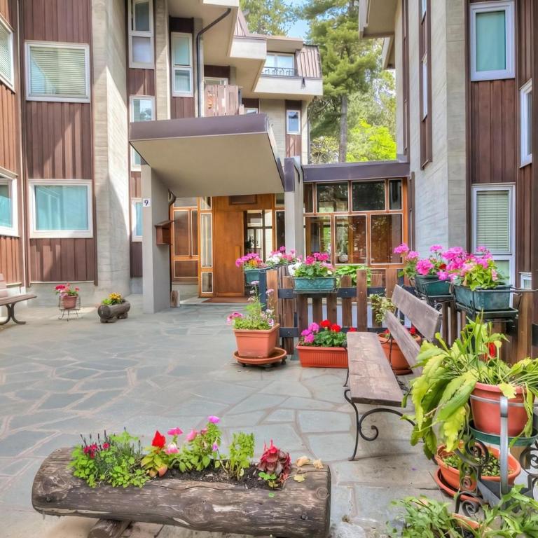 Comfort Tra Fiume E Pini with Shared Garden and Balcony - Happy Rentals - Appartement avec Balcon - 30