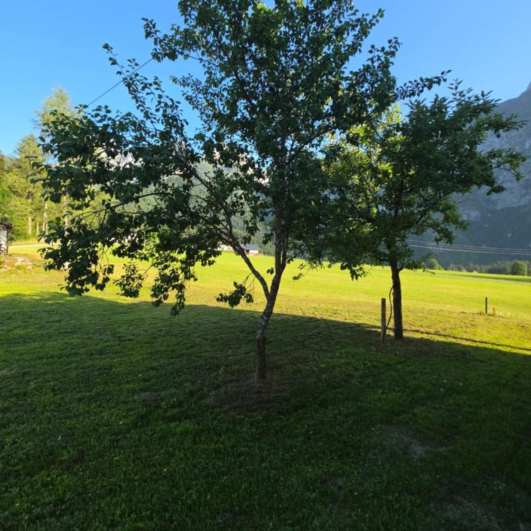 Ferienwohnung Loifried - Apartment mit 3 Schlafzimmern - 43