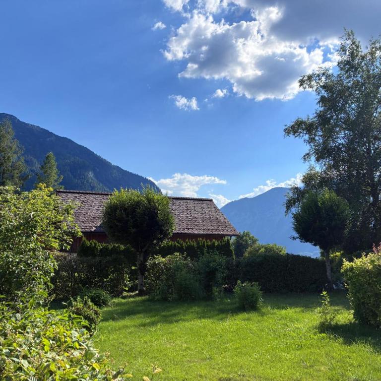 Gartenwohnung Bad Aussee - Appartement 1 Chambre avec Jardin - 8